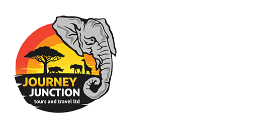 logo-image