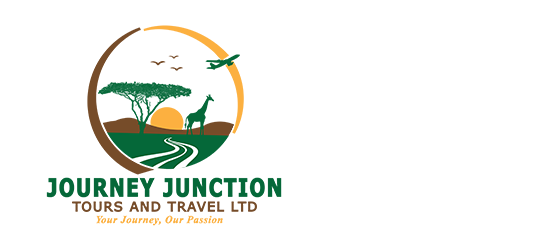 logo-image